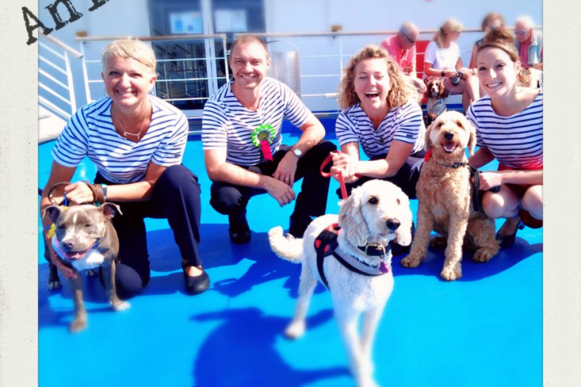 brittany ferries dog muzzle