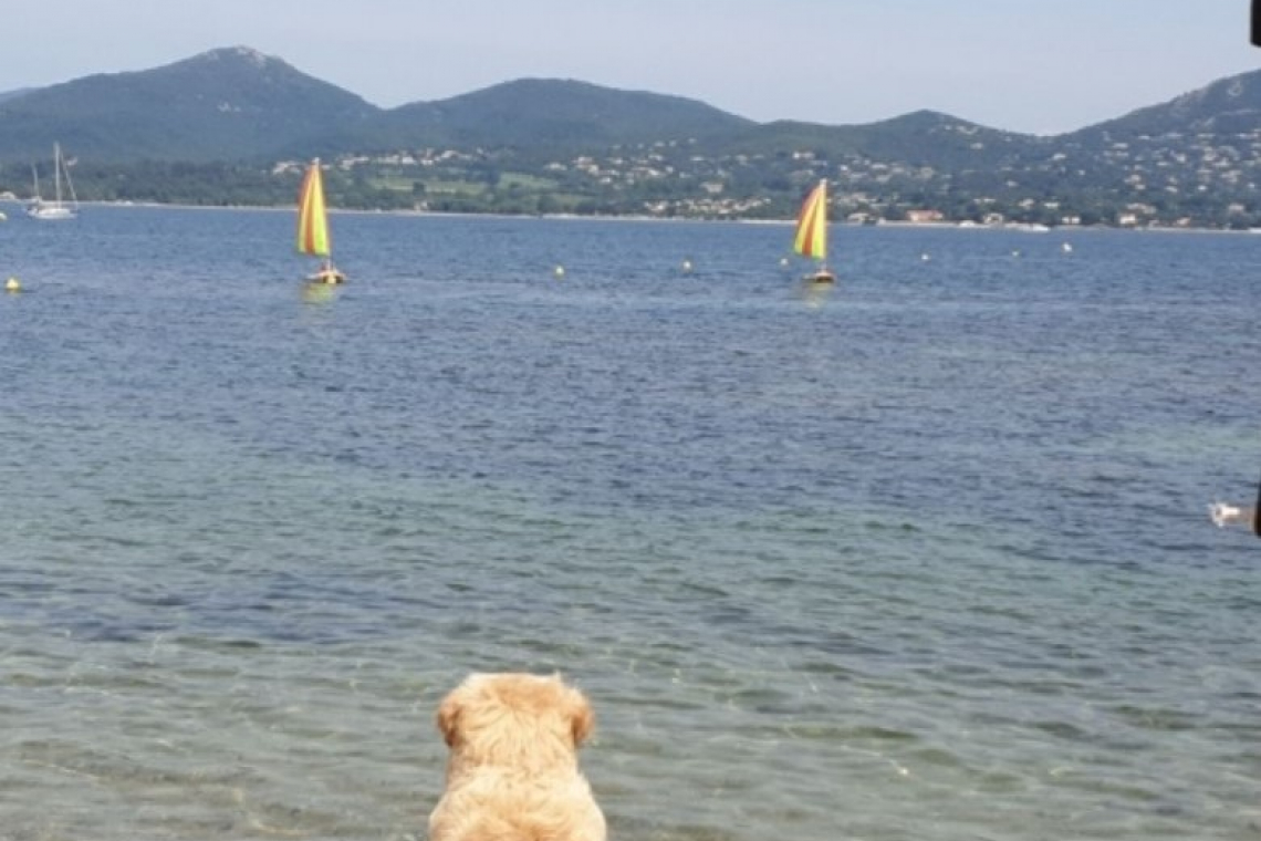 Ecole de voile la Moune