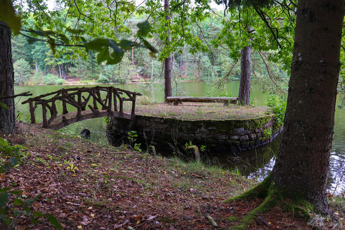 Tour de l’étang de Hasselfurth