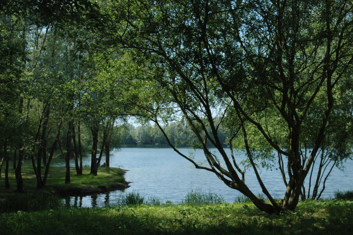 Etangs de Bouvaincourt-sur-Bresle
