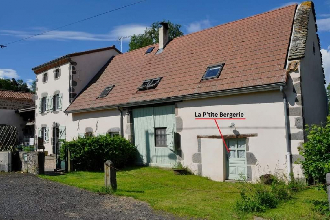 La Bergerie des Volcans – 100% Dog Friendly – Volcans à 4 pattes