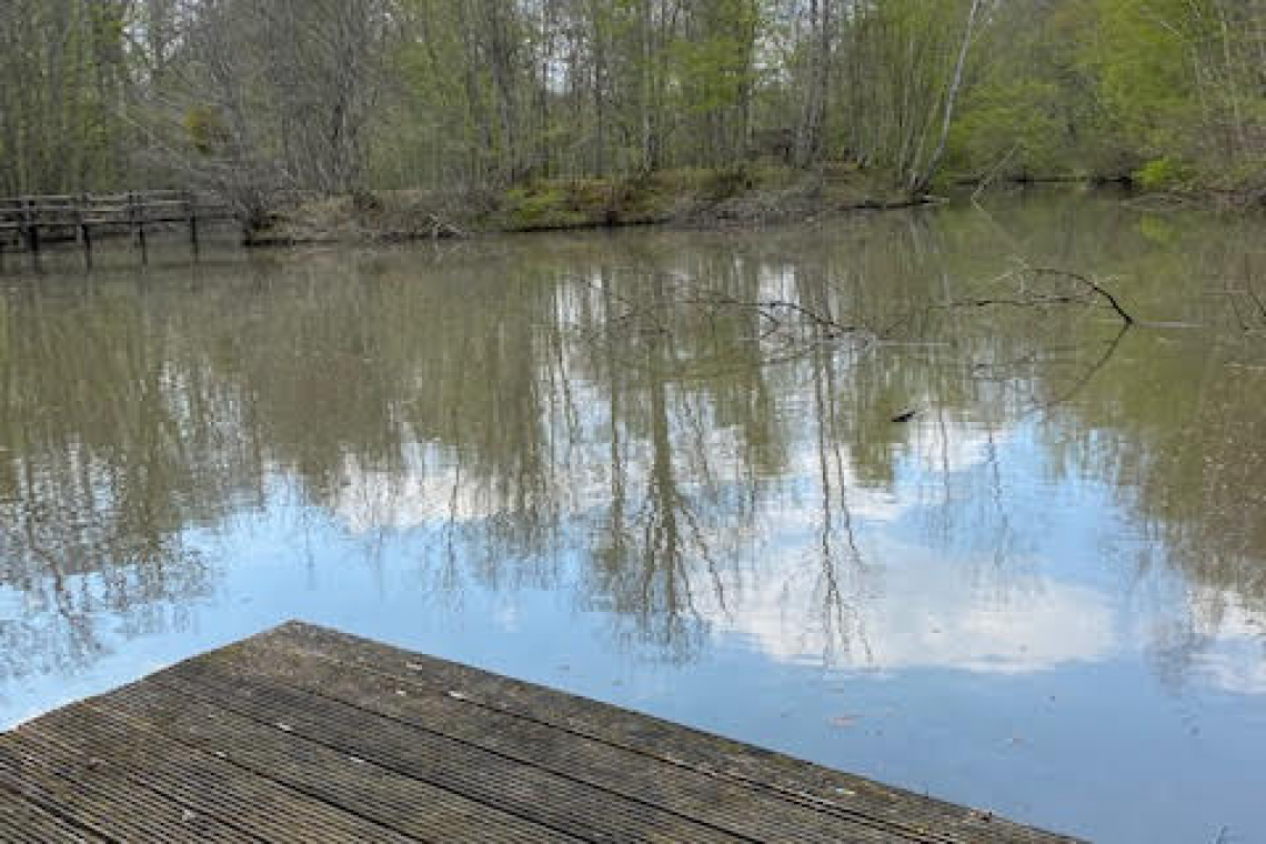 Forêt Régionale de Ferrières