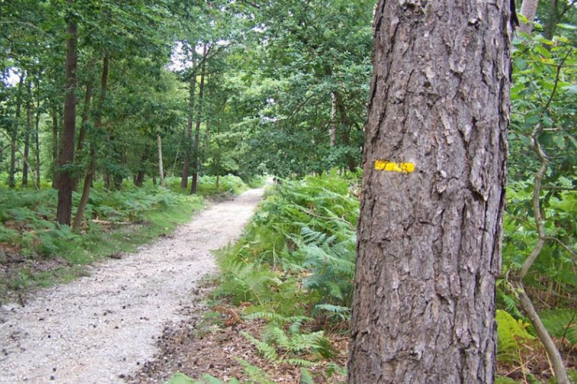 Forêt domaniale de Bord-Louviers