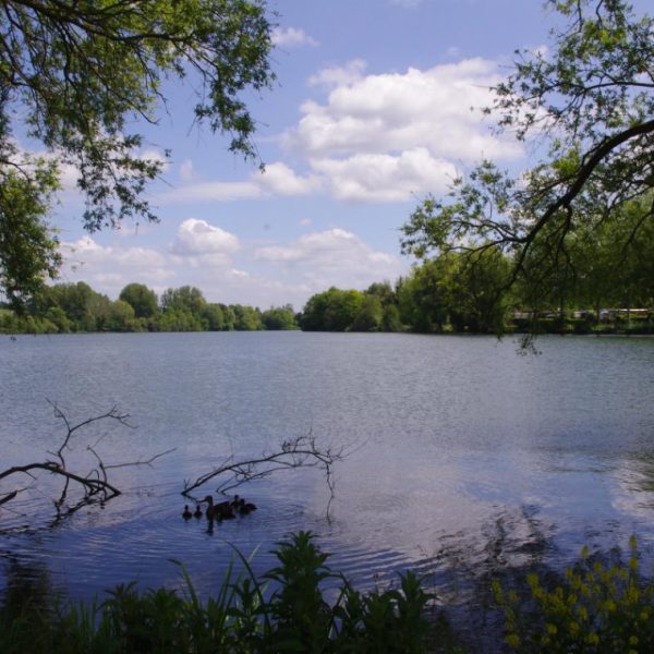 Gîte à l’Orée des Etangs