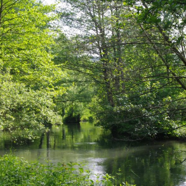 Gîte à l’Orée des Etangs