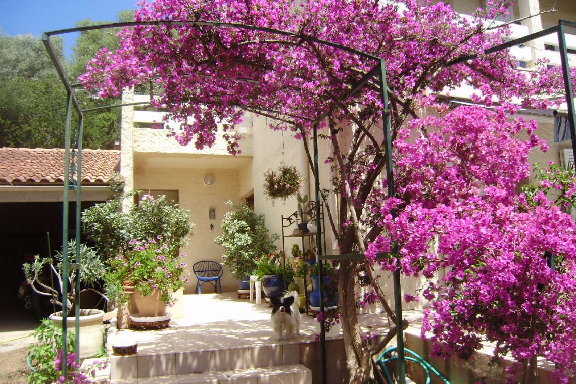 Gîte “Il Viale”
