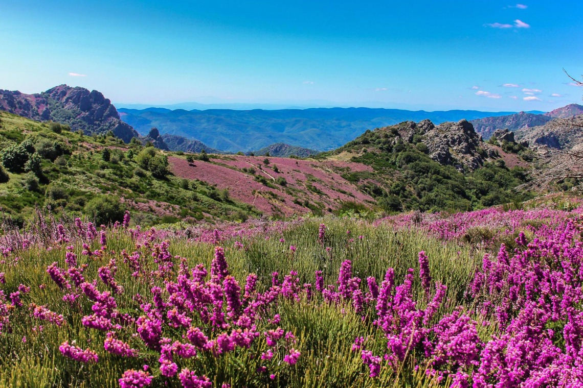 Les gîtes de la porte du Caroux
