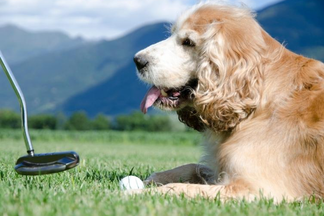 Golf Bluegreen Rodez