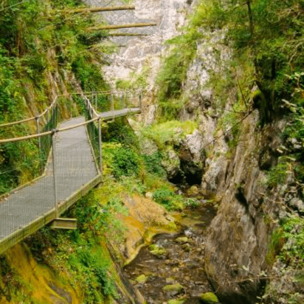 Les Gorges de la Fou