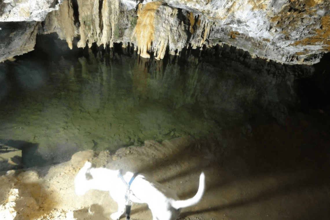 Grotte du Cornadore