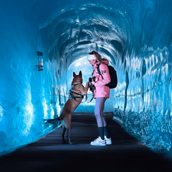 Visite dog-friendly de la grotte de glace à Chamonix en Haute Savoie