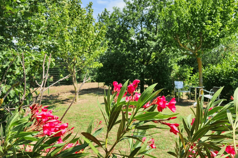 Camping L’escale Occitane – photo 11
