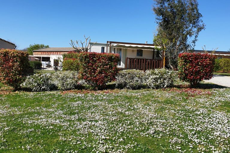 Camping L’escale Occitane – photo 10