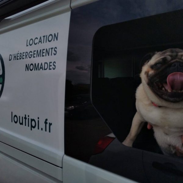 Loutipi - Alquiler de furgonetas para perros permitida en Bretaña