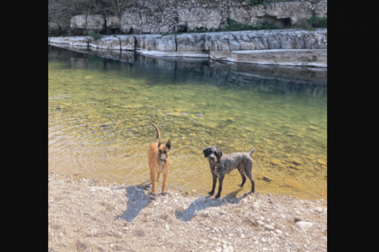 Camping du Domaine Arleblanc – photo 8