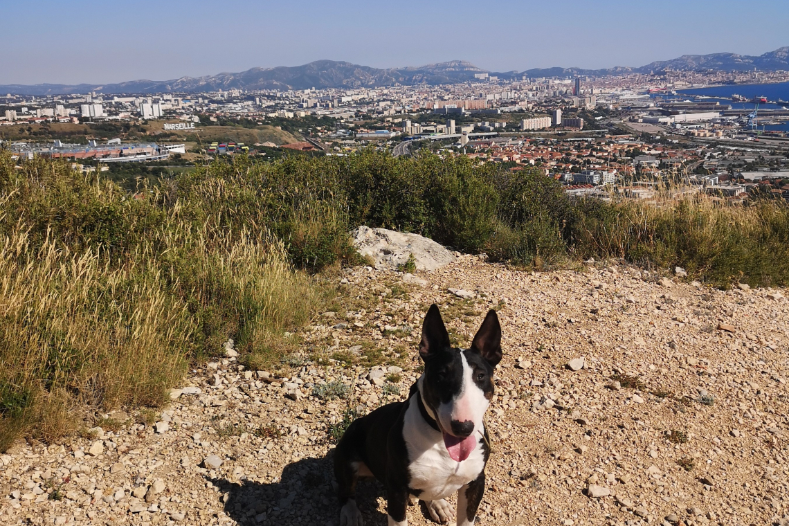 Colline de Verduron