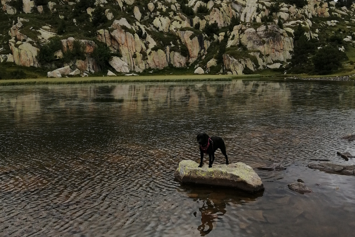 Lac des Bouillouses