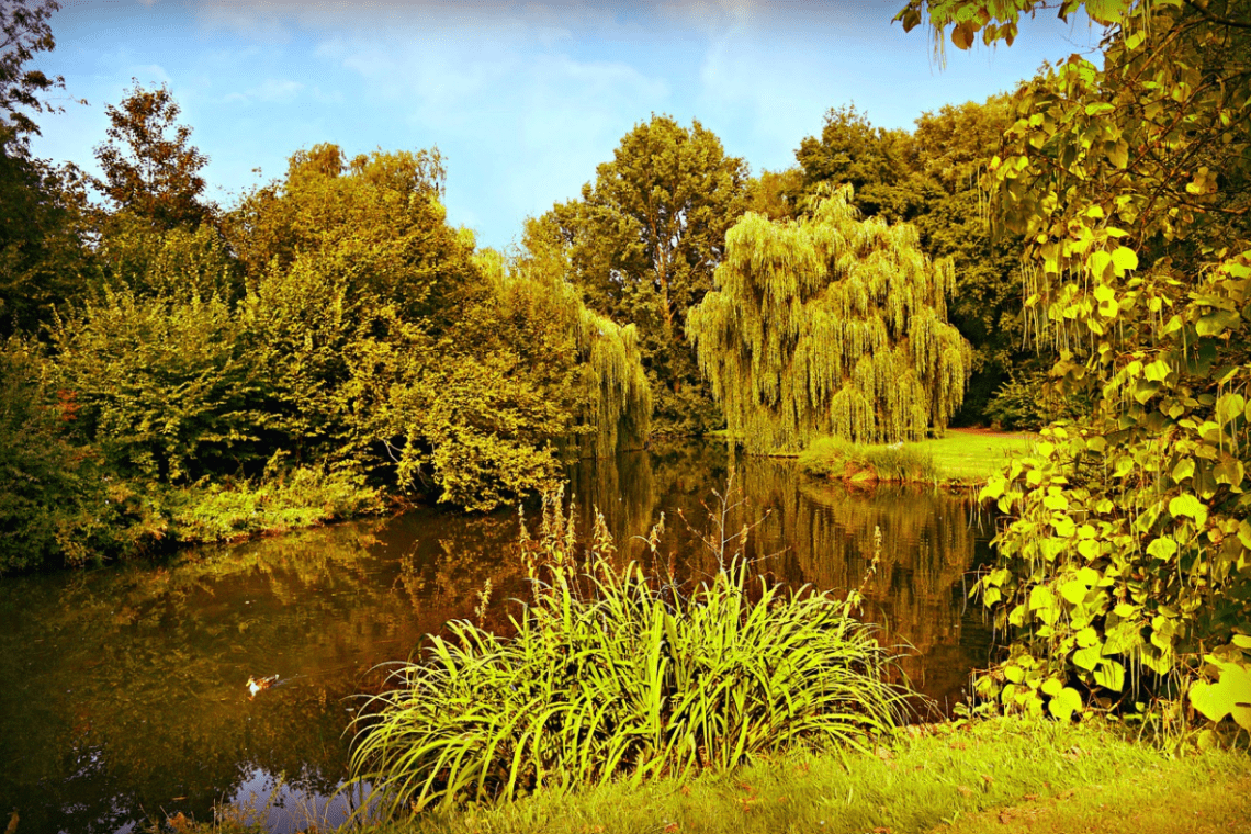 Jardin des personnalités
