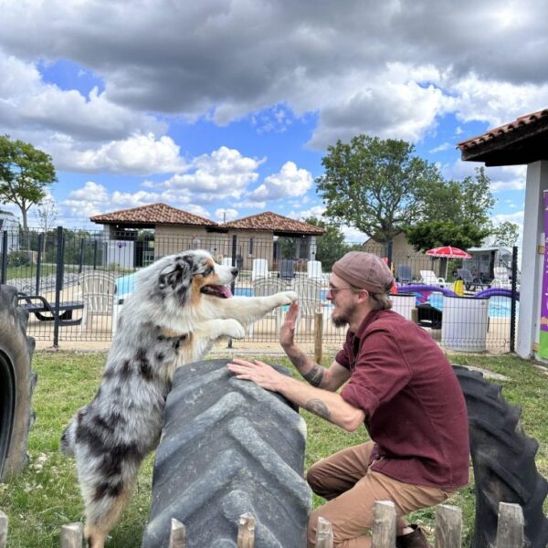 Toutouparc du Camping les Lavandes Valensol à Valensol dans les Alpes-de-Haute-Provence