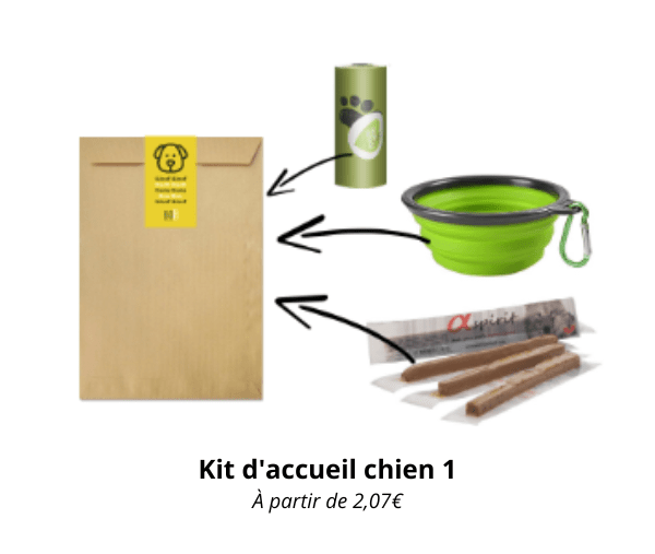 kit accueil chien littlebox emmenetonchien3