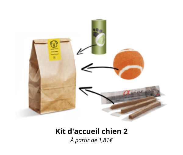 kit accueil chien littlebox emmenetonchien4