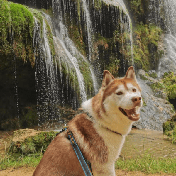 Cascade des Tufs