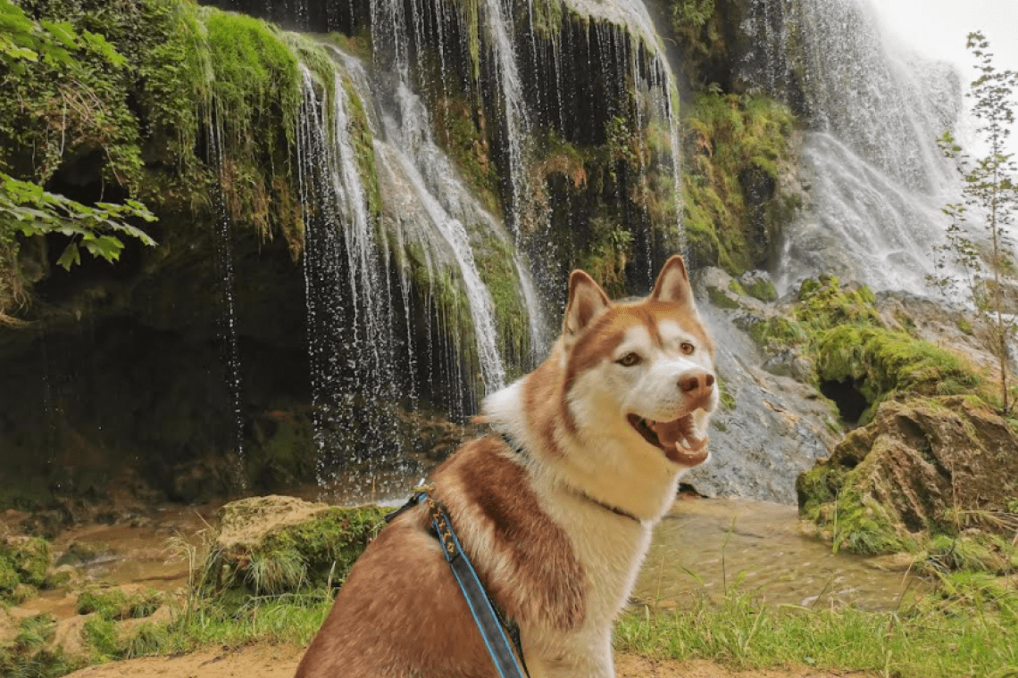 Cascade des Tufs