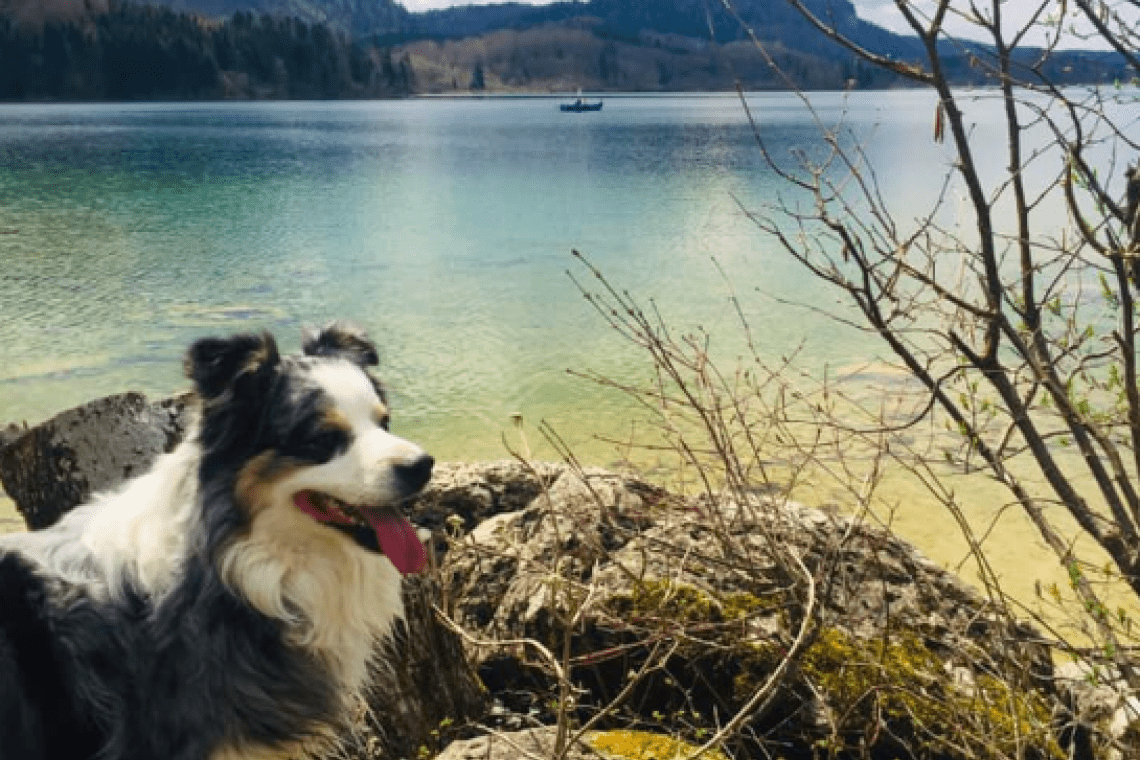 Lac d’Ilay