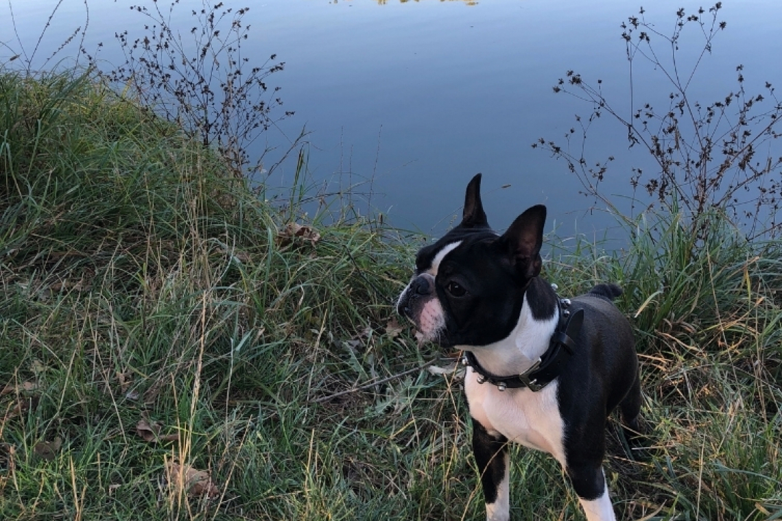 Lac de Guiche