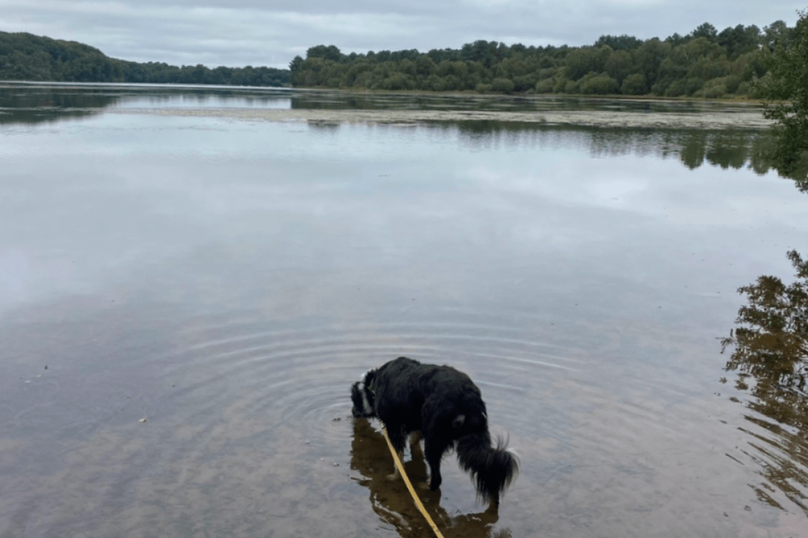 Lac de Tremelin