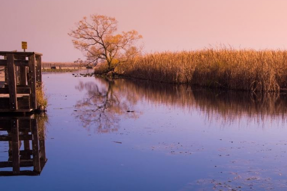 Le Marais de Bonnefont