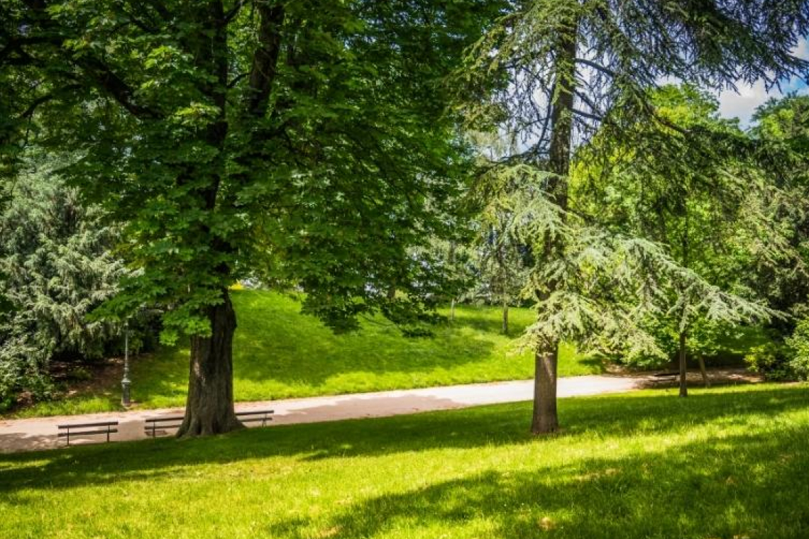 Le Parc de Bercy