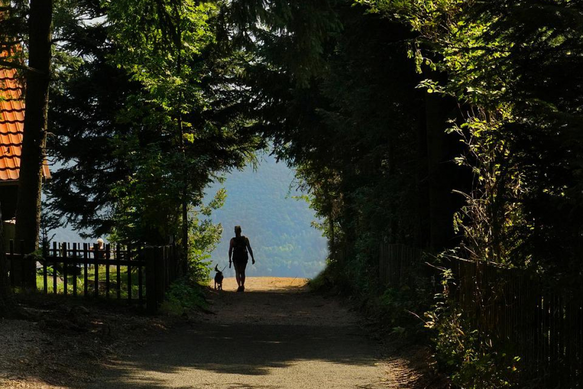 Mont de Doville