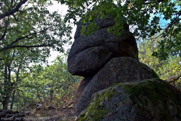 Le cirque du Diable – photo 1