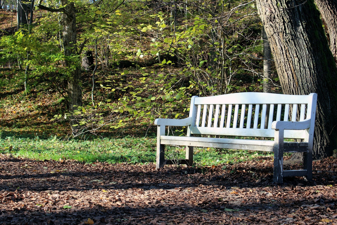Jardin du Tortillard