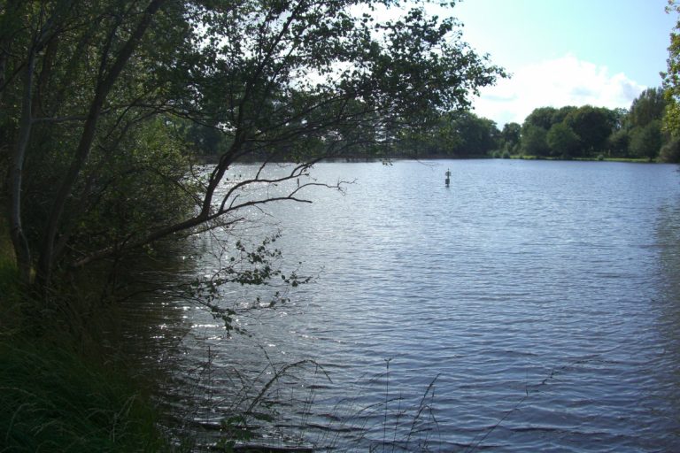 Le parc de la Gournerie – photo 1