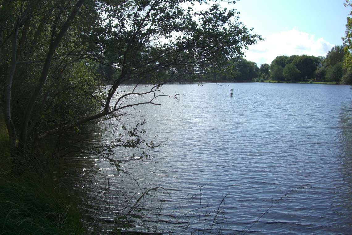 Le parc de la Gournerie