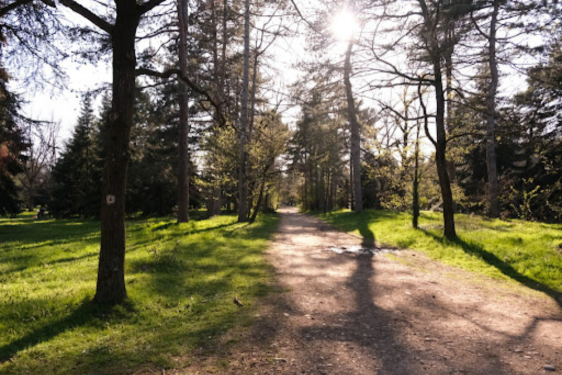 Le Parc de Parilly