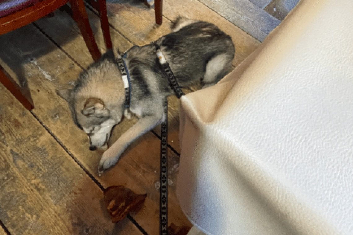 Restaurant chez Wiwi