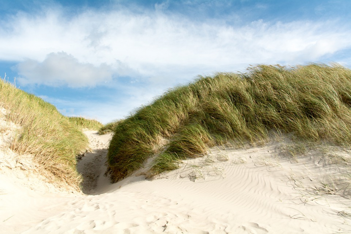Dunes de Bréville-sur-Mer