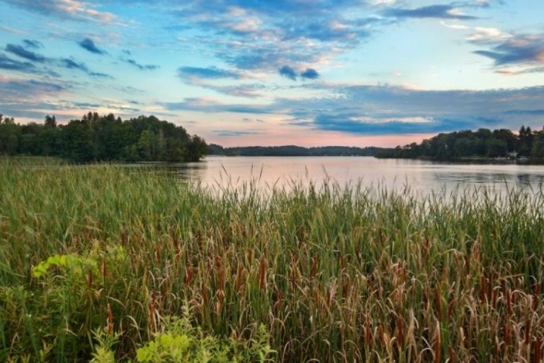 Les gîtes du lac – photo 1