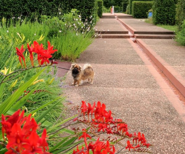 Les Jardins de Colette