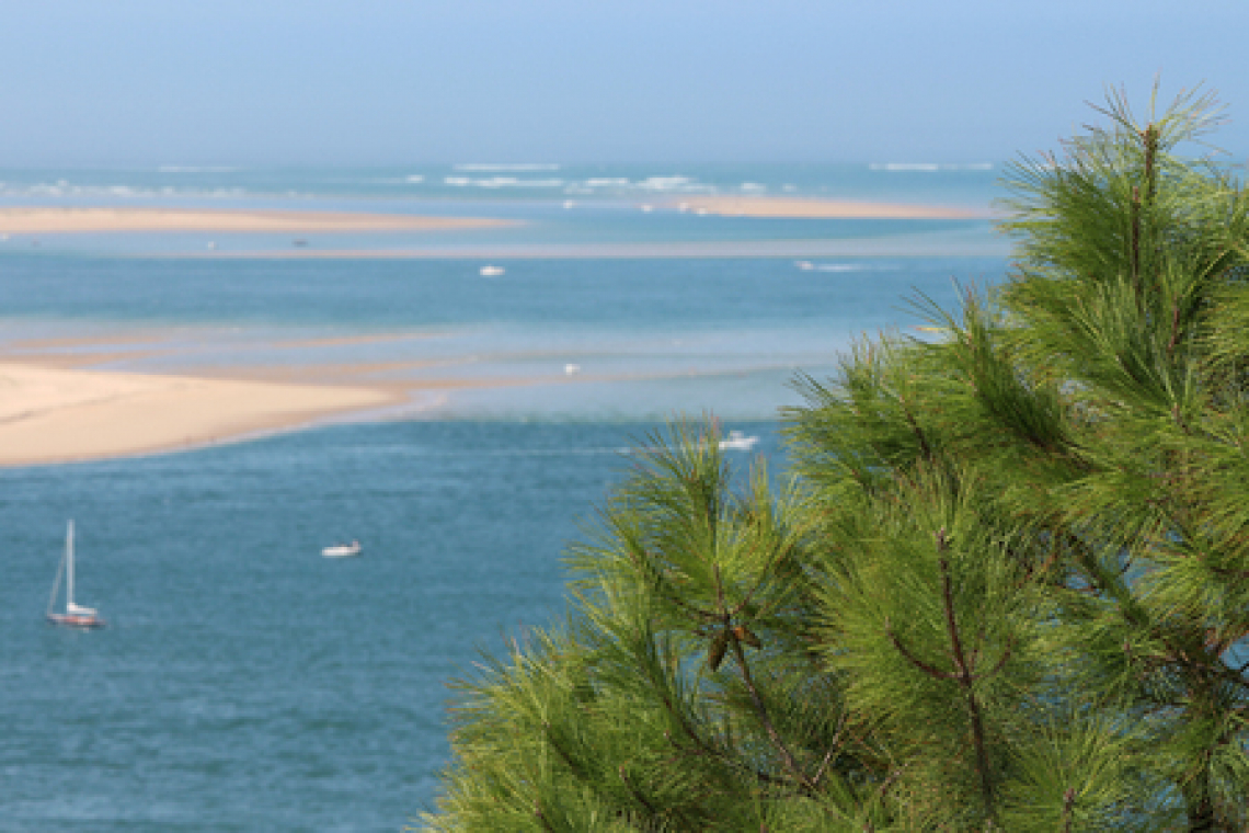 Camping Siblu – Les Viviers