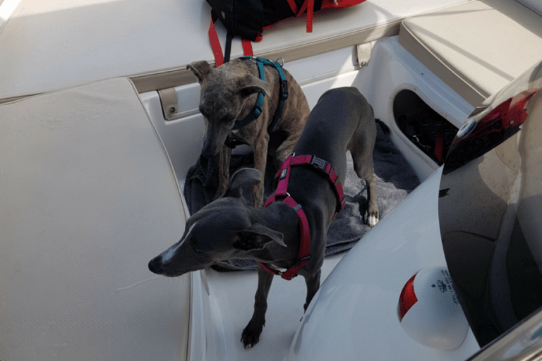 Balade en bateau – Bounty location – photo 1