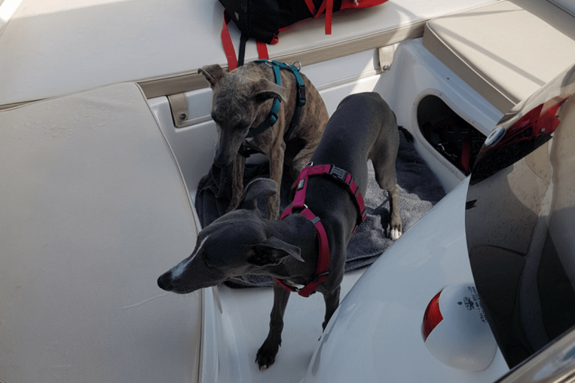 Balade en bateau – Bounty location