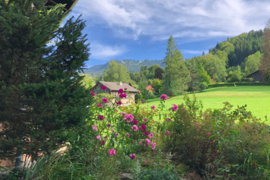 Appartement Morillon Village