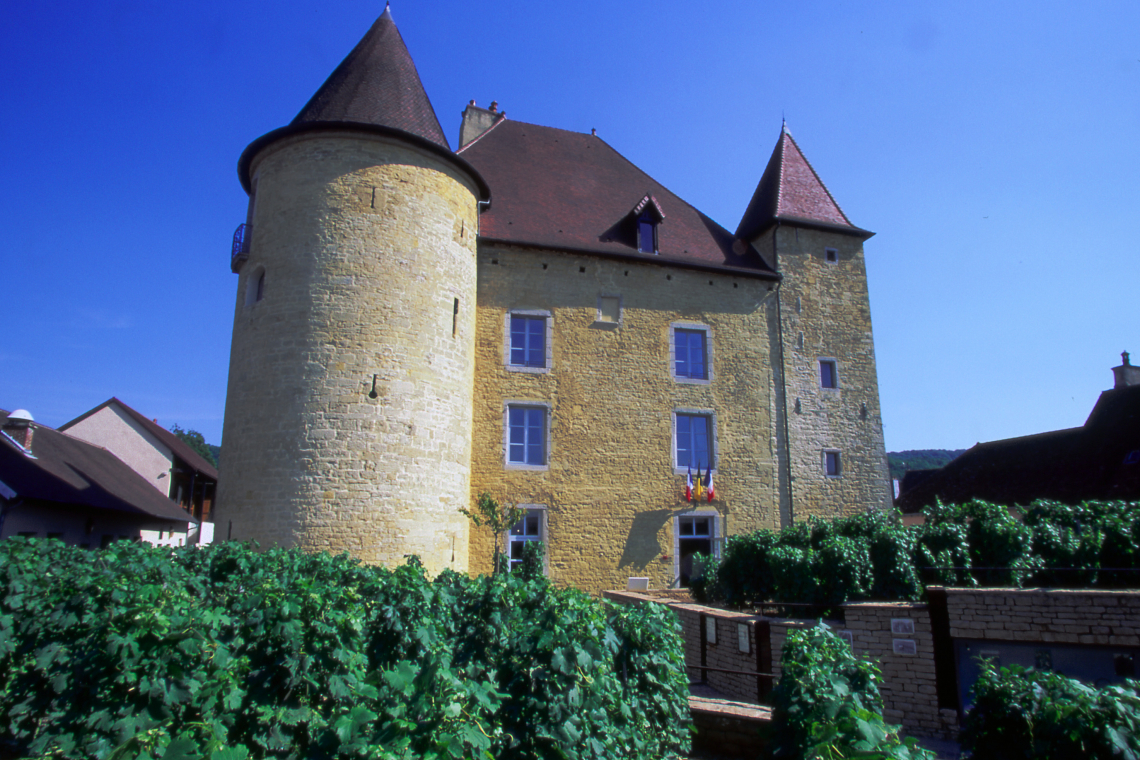 Musée de la Vigne et du Vin du Jura