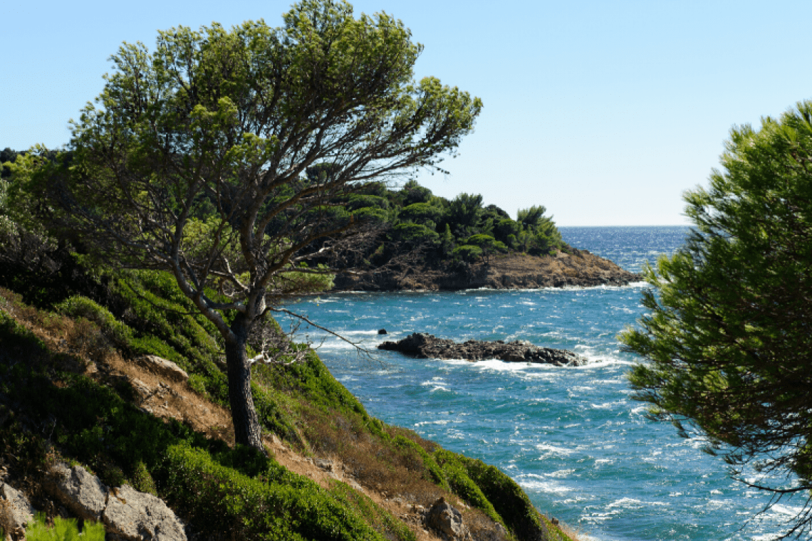Parc Valmer – Marseille