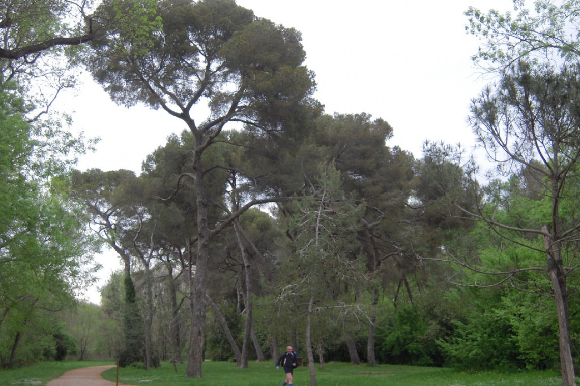 Parc de Vaugrenier