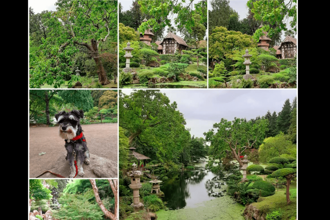 Parc oriental de Maulevrier